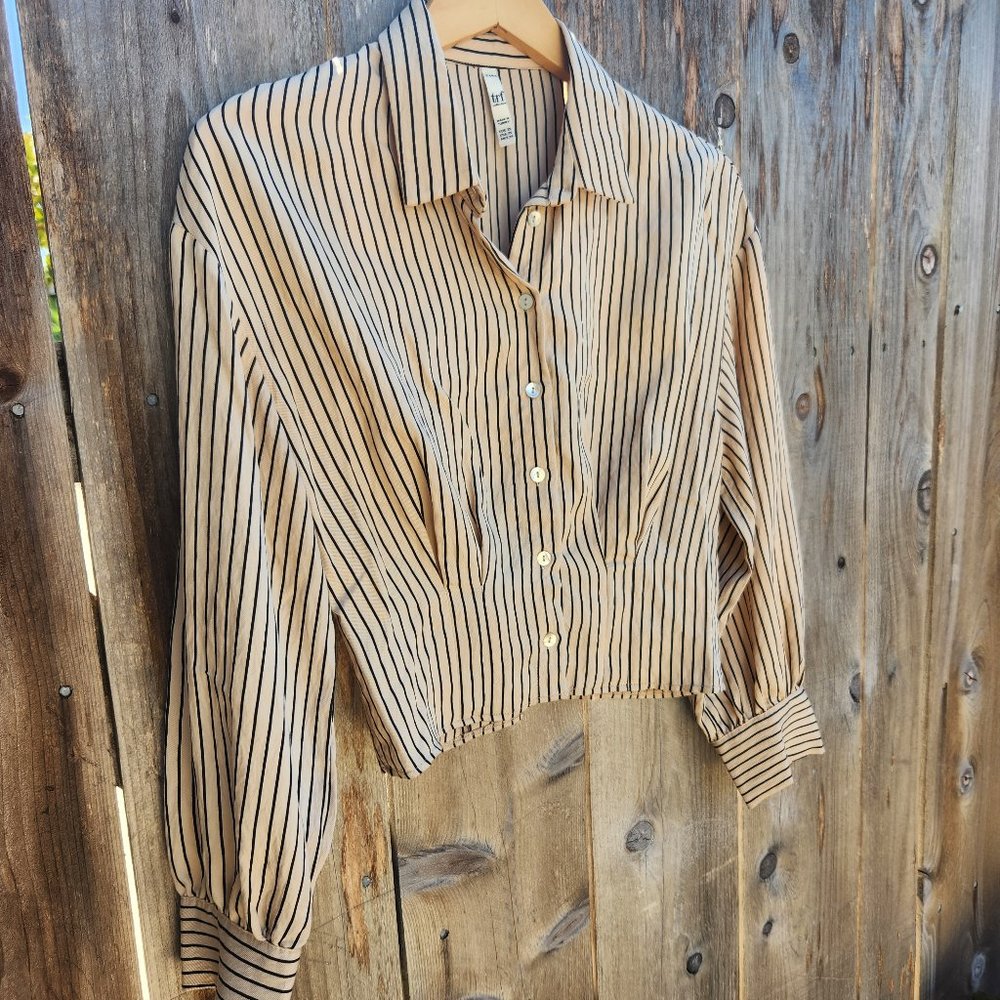 Zara Beige and Black Striped Cropped Button-Up Blouse